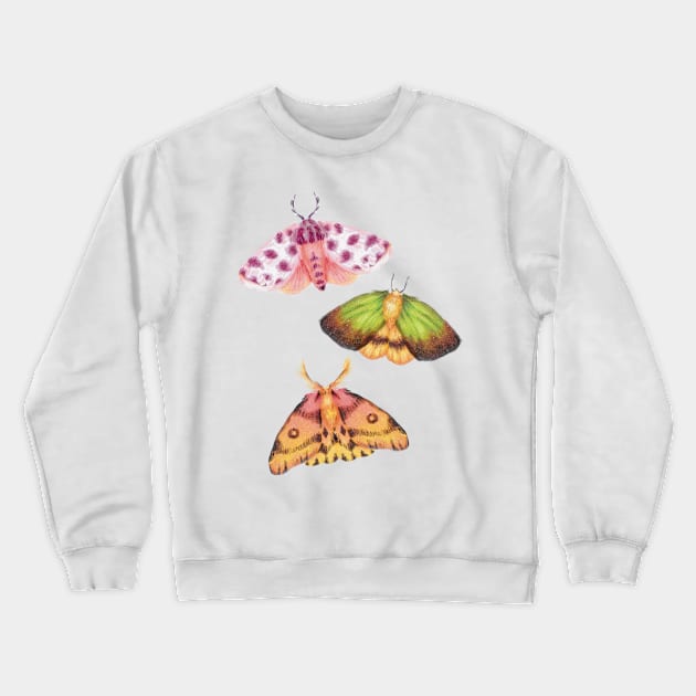 Moth Illustration Cottagecore Crewneck Sweatshirt by lizillu